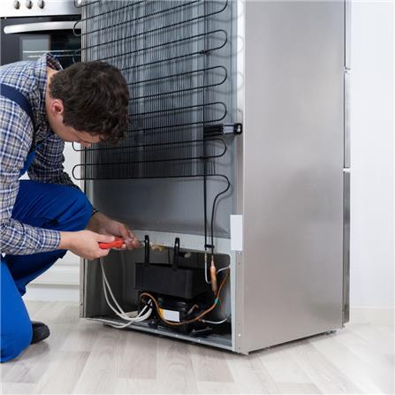 cate-Refrigerator Repair