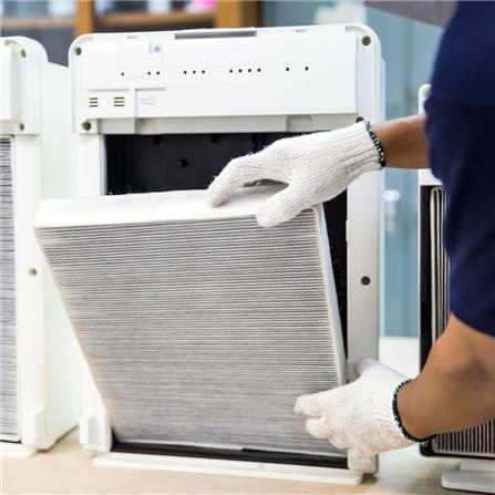 cate-Air Purifier Cleaning