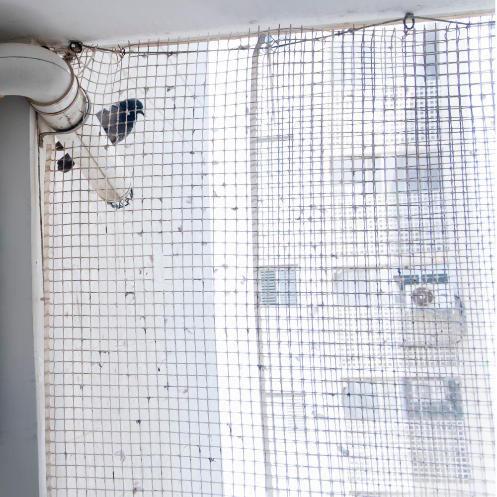 ติดตั้งตาข่ายกันนกแบบถอดได้ SP