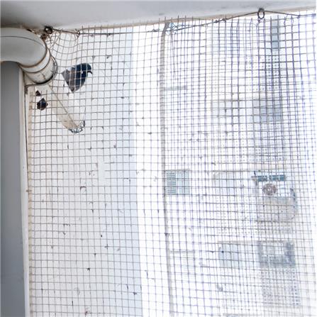 ติดตั้งตาข่ายกันนกแบบถอดได้ SP_0