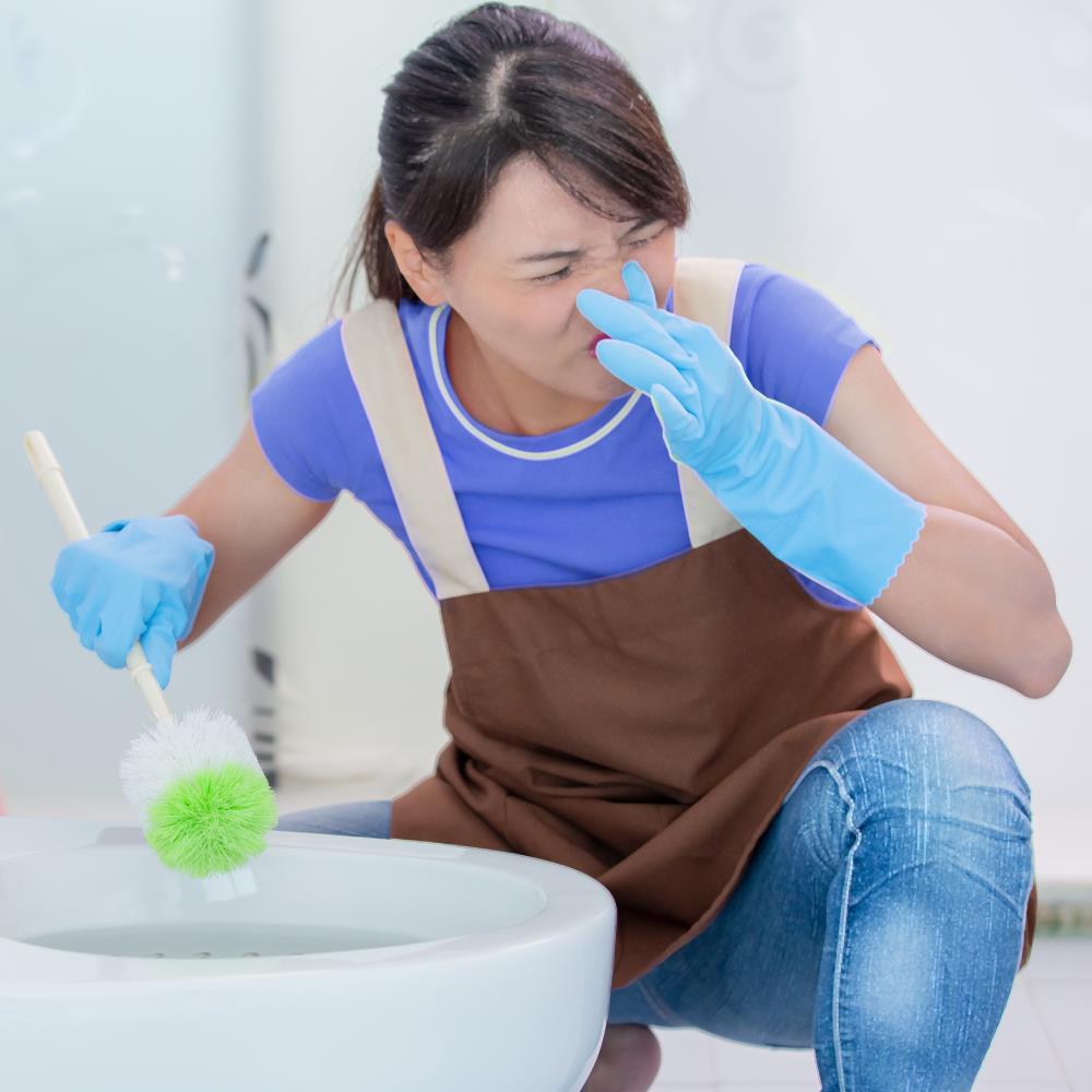 แก้ไขปัญหาสุขภัณฑ์กลิ่นย้อน SP