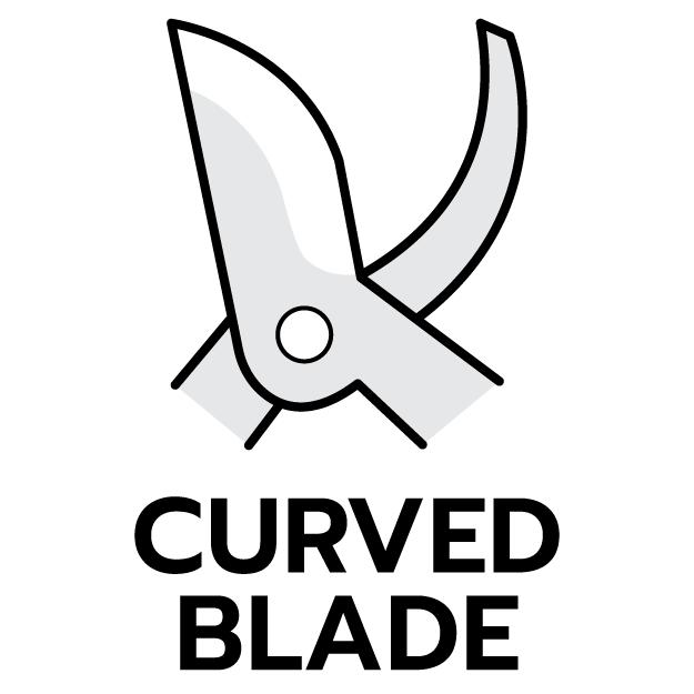 ลักษณะปาก ปากโค้ง