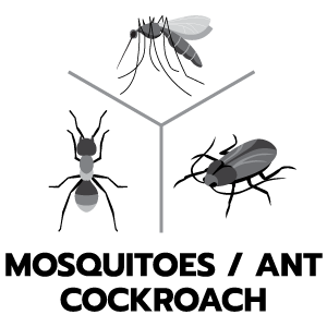 ประเภทของสัตว์รบกวน ยุง/มด/แมลงสาบ