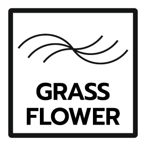 วัสดุหลัก ดอกหญ้า