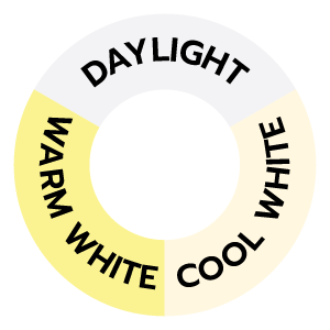โทนแสง เดย์ไลท์/คูลไวท์/วอร์มไวท์