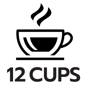feature icon