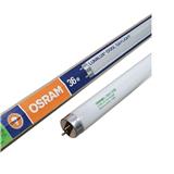 T8 L36W/865 CDL (LUMILUX) 4FT OSRAM