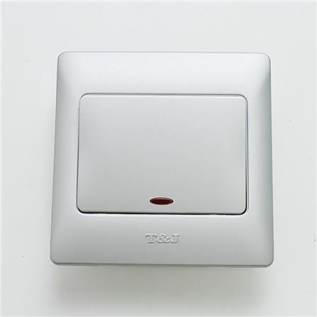 20A 1G DP SWITCH W/NEON K271L-DP-MSL T&J
