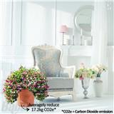 BIO ROMAN FLOWER POT BABA GR310 COTTA