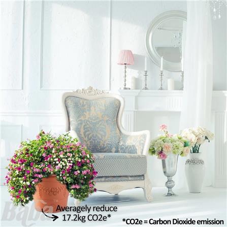 BIO ROMAN FLOWER POT BABA GR310 COTTA