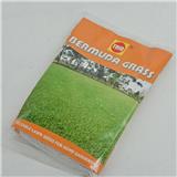 BERMUDA GRASS (100 GM) SEED TRIO TS083