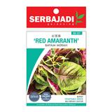 BAJA SERBAJADI RED AMARANTH VEGETABLE SEED BBS027 1GM