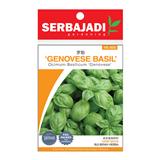 BAJA SERBAJADI GENOVESE BASIL HERB SEED