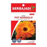 BAJA SERBAJADI POT MARIGOLD, CALENDULA OFFICINALIS FLOWER SEED FS002 1GM