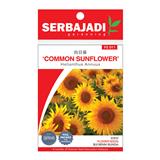 BAJA SERBAJADI COMMON SUNFLOWER FLOWER SEED FS011 1GM
