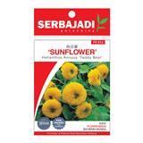 BAJA SERBAJADI TEDDY BEAR SUNFLOWER FLOWER SEED FS012 1GM