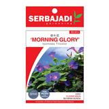 BAJA SERBAJADI MORNING GLORY, IPOMOEA TRICOLOR FLOWER SEED FS013 1GM