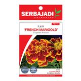 BAJA SERBAJADI FRENCH MARIGOLD FLOWER SEED FS018 1GM