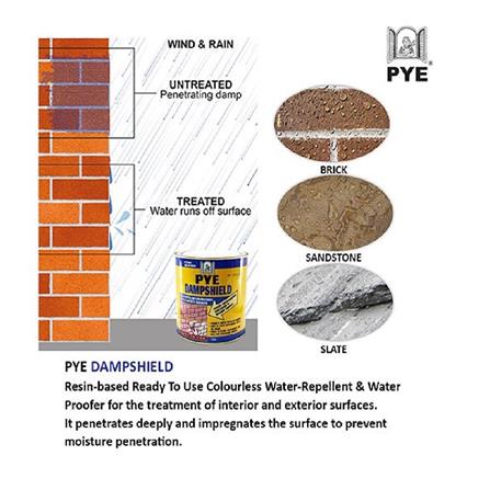 PYE DAMPSHIELD 1 LITRE