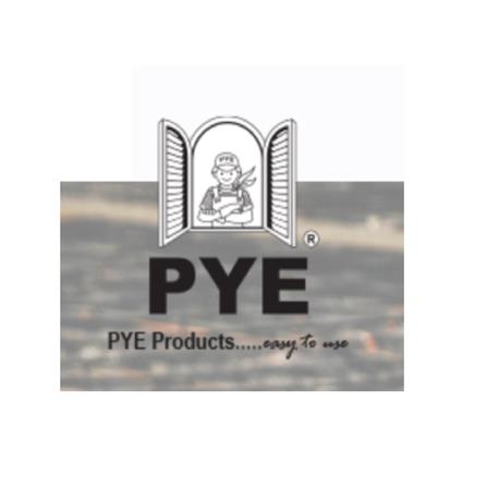 PYE FUNGRID 1 LITRE