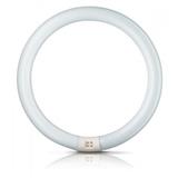 CIRCULAR FLUORESCENT COOL DAYLIGHT PHILIPS BRIGHTBOOST TL-E 40W/865