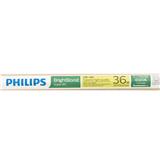FLUORESCENT LAMP LONG PHILIPS BRIGHT BOOST (TL-D 36W/865)