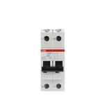 MINIATURE CIRCUIT BREAKER 2-POLE ABB 6000AMP 32A SH202-C32