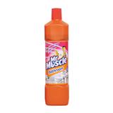 MR MUSCLE BATHROOM (KILL 99% OF GERMS) 900ML FLORAL