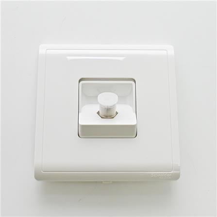 PIENO TV/AUDIO SOCKETS SCHNEIDER E8231TVF WE G11