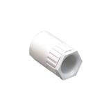 DT MASTAR FEMALE ADATOR 25MM PACK 1PC WHITE