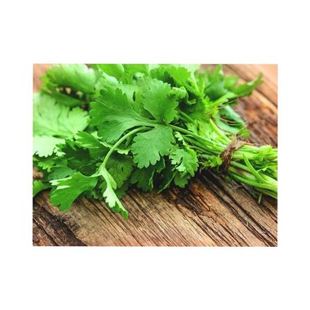 BABA VE-001 AMERICAN CORIANDER