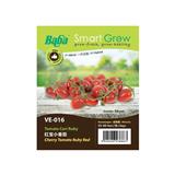 BABA VE-016 F1 HYBD CHERRY TOMATO RED