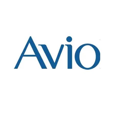 AVIO IRON TOGGLE FASTENER 2S TF04#