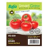 BABA VE-039 F1 RED ROCK TOMATO