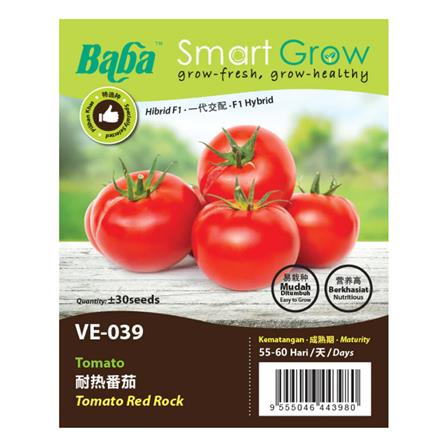 BABA VE-039 F1 RED ROCK TOMATO