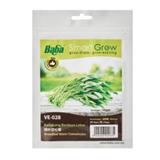 BABA VE-028 GE GRADE A WATER CONVOLVULUS