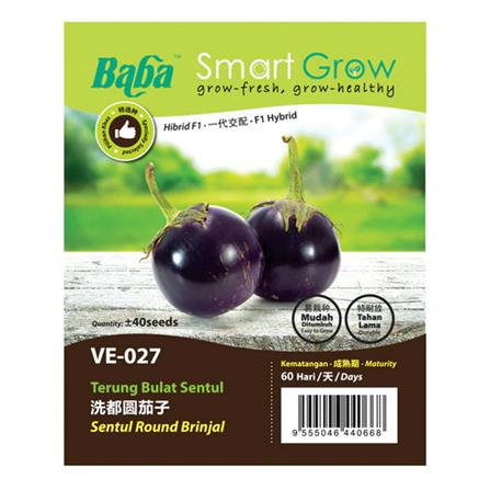 BABA VE-027 SENTUL ROUND BRINJAL