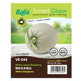 BABA VE-044 F1 MELON GORGEOUS