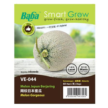 BABA VE-044 F1 MELON GORGEOUS