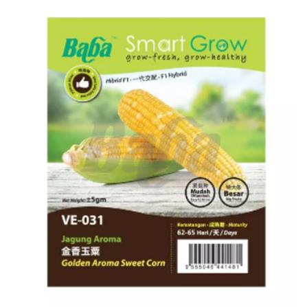BABA VE-031 FI PEARL GOLD SWEET CORN