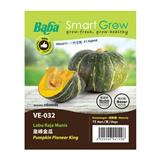 BABA VE-032 F1 PUMPKIN PIONEER KING
