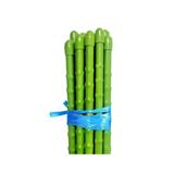 TAKIRON PLANT STAKE 8MM X 750MM