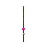 TAKIRON PLANT STAKE 8MM X 1200MM