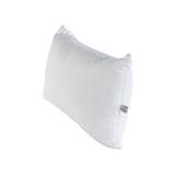 PILLOW HOME LIVING STYLE 19X29"