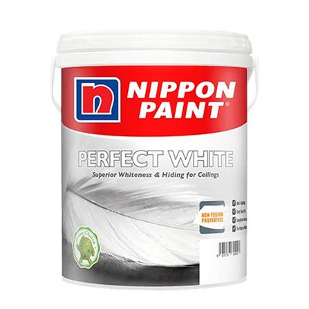 PERFECT WHITE 20L IN-PAINT