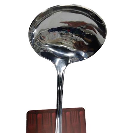 LUXORY STAINLESS STEEL 8.5" SERVING LADLE TH-002-02