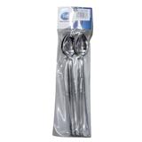 STAINLESS STEEL SODA SPOON 6PCS 21.5CM F0011