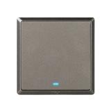 SWITCH 20A 1 GANG 1 WAY WITH INDICATOR LIGHT CHAMPAGNE GREY HC2721L-DP-ST5 T&J