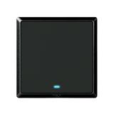 SWITCH 20A 1 GANG 1 WAY WITH INDICATOR LIGHT CHARCOAL BLACK HC2721L-DP-SBL T&J