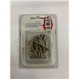 AMAN PHCT SCREW 1"x@8 20S SSPH-0810